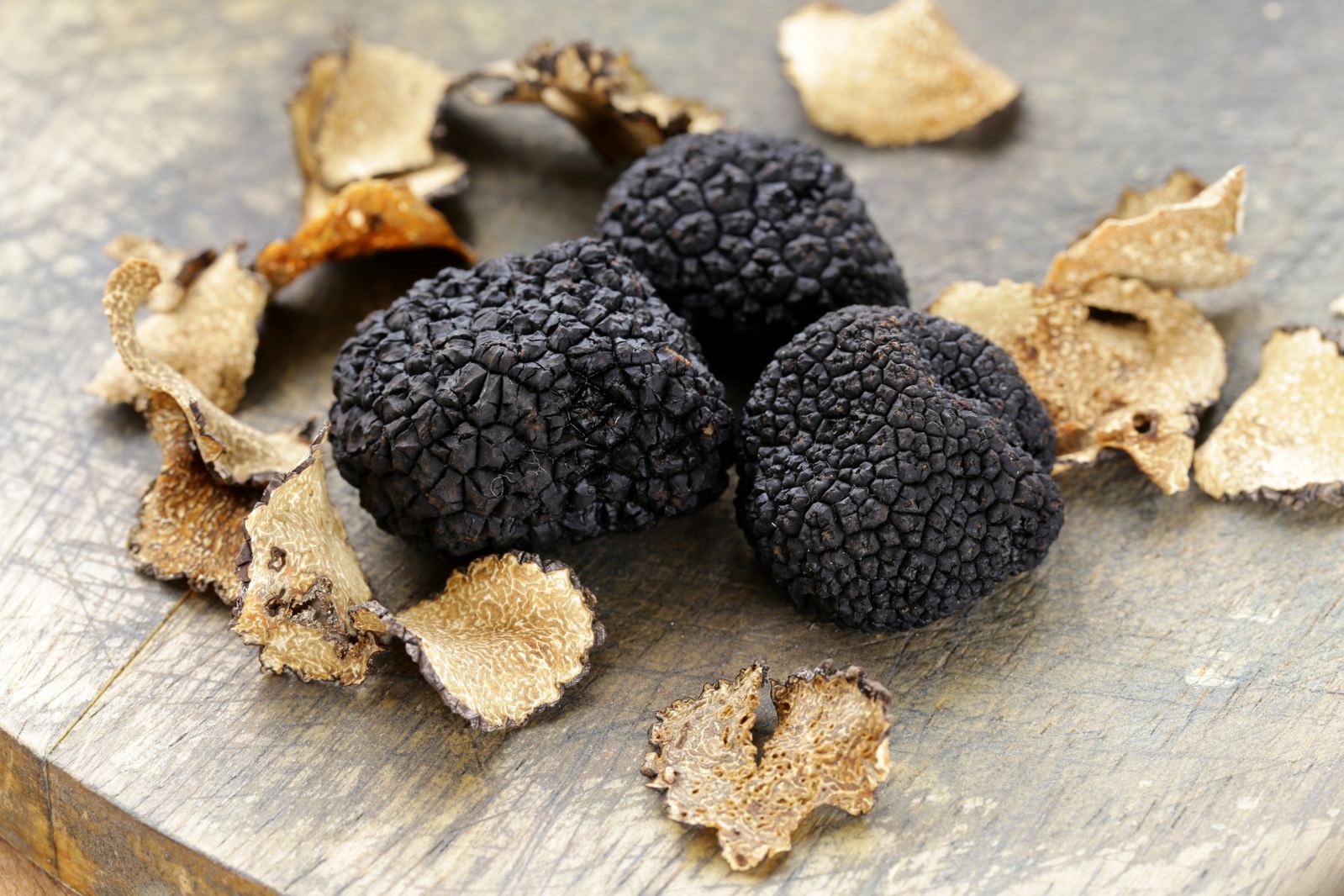 Tartufo nero italiano